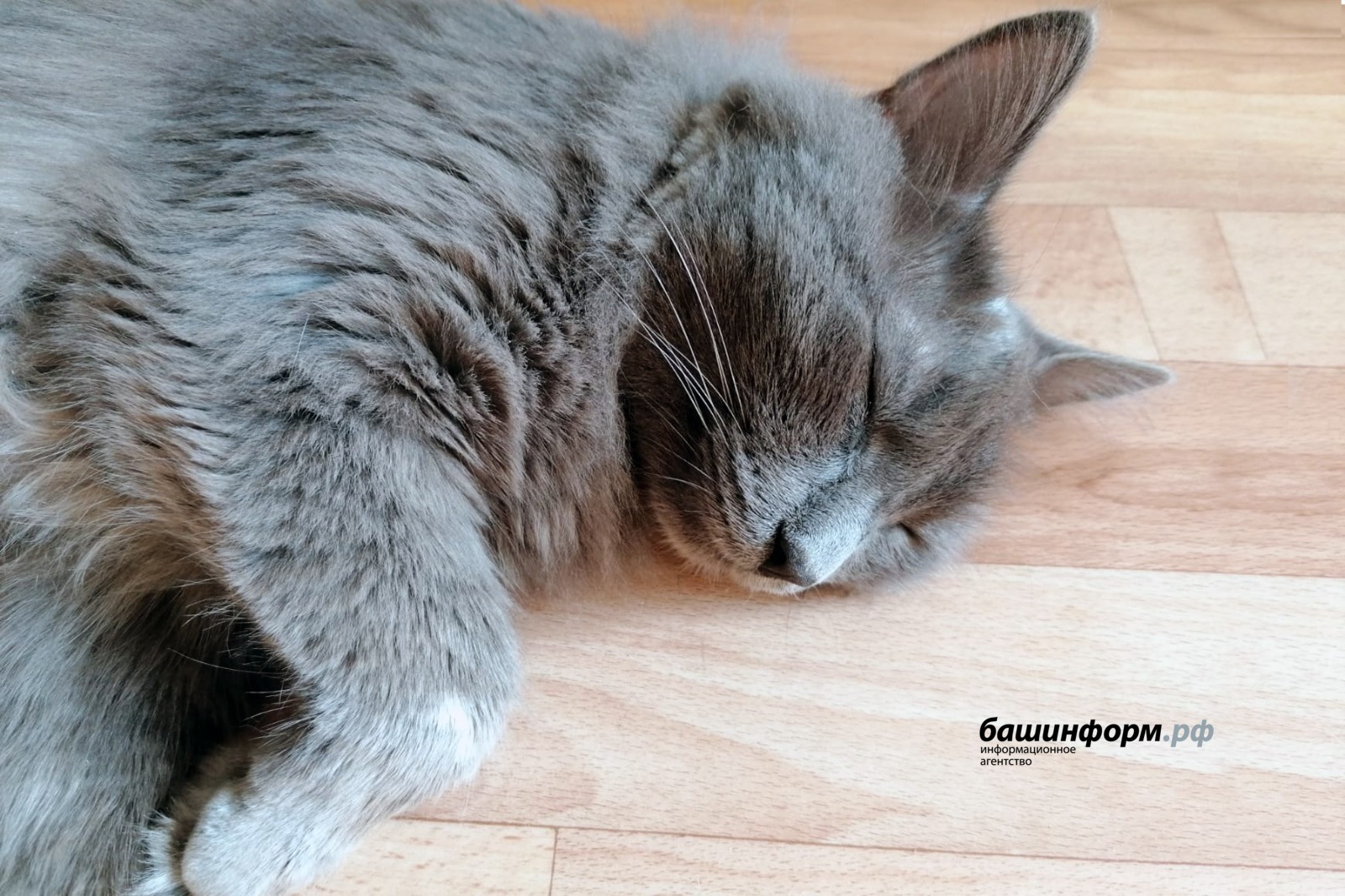 архив ИА "Башинформ"