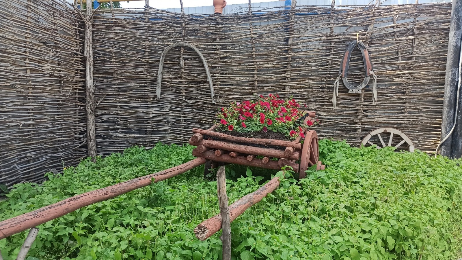 соцсети