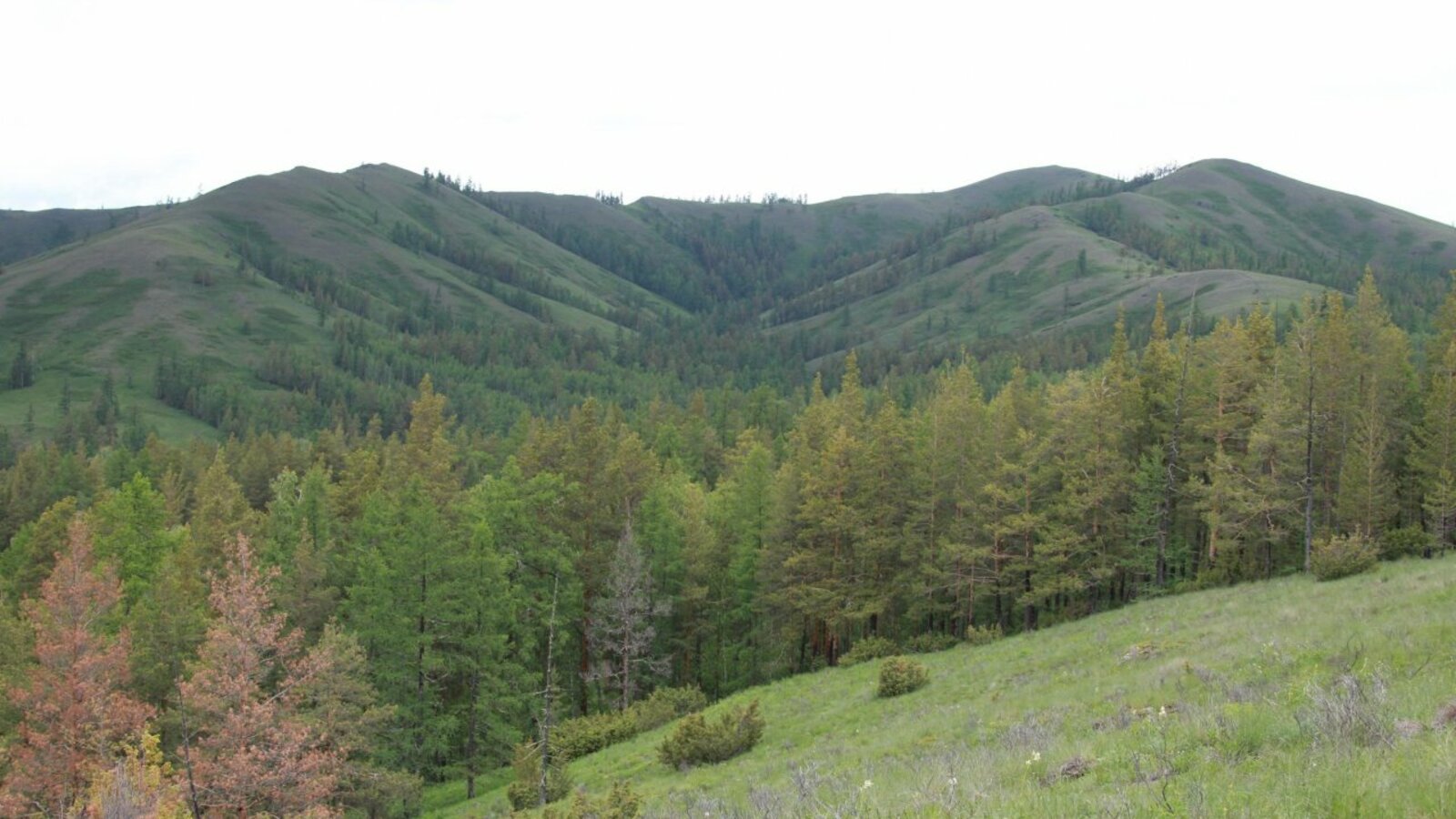 Олег Яровиков