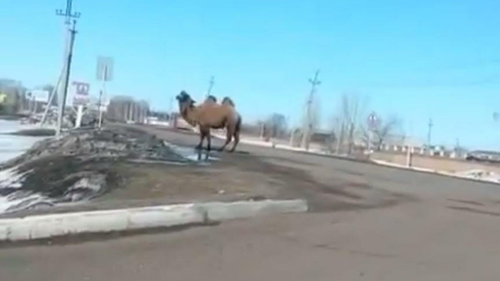 скриншот с видео в группе «БашДТП»