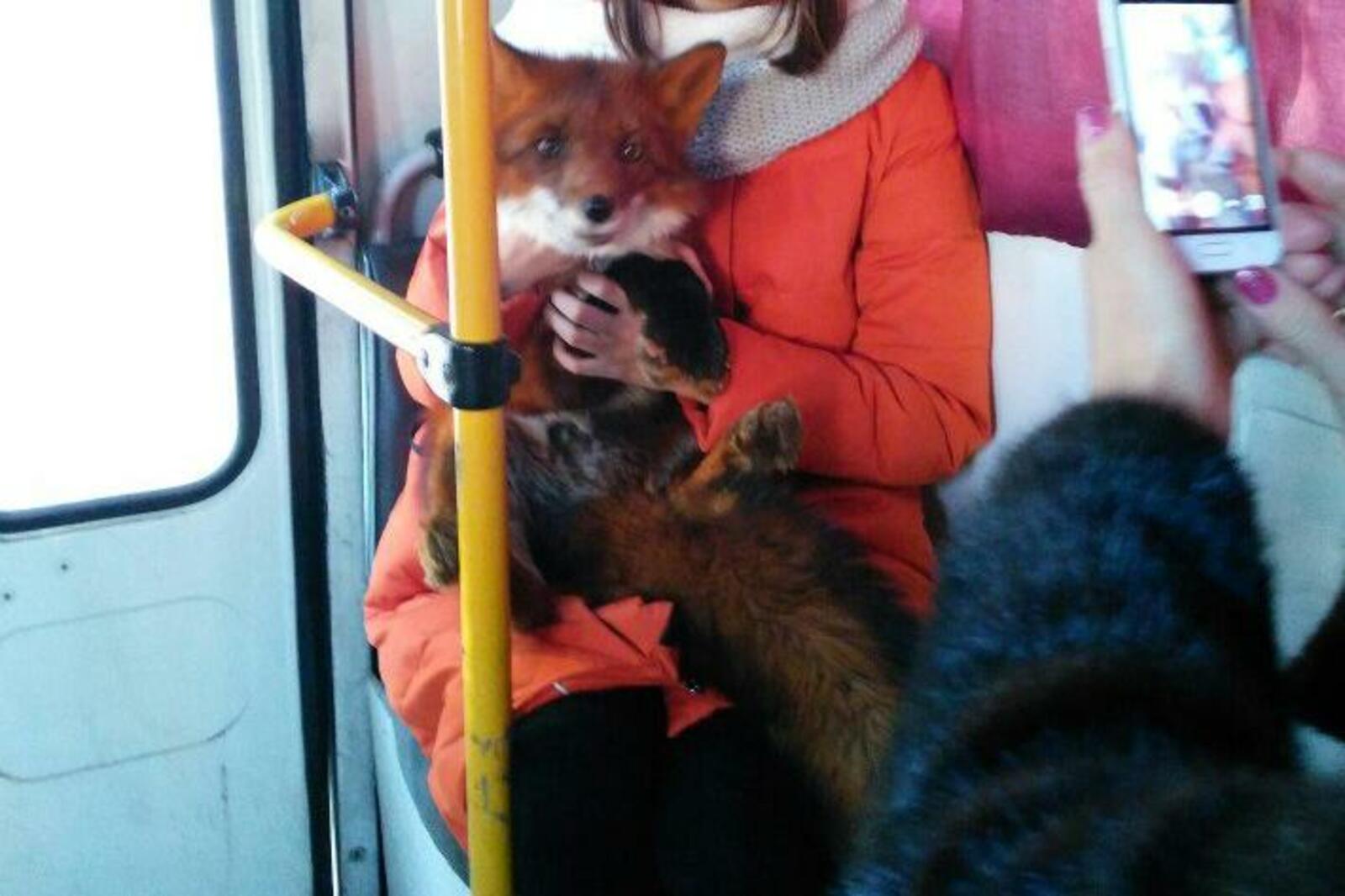 Алёна Баранова