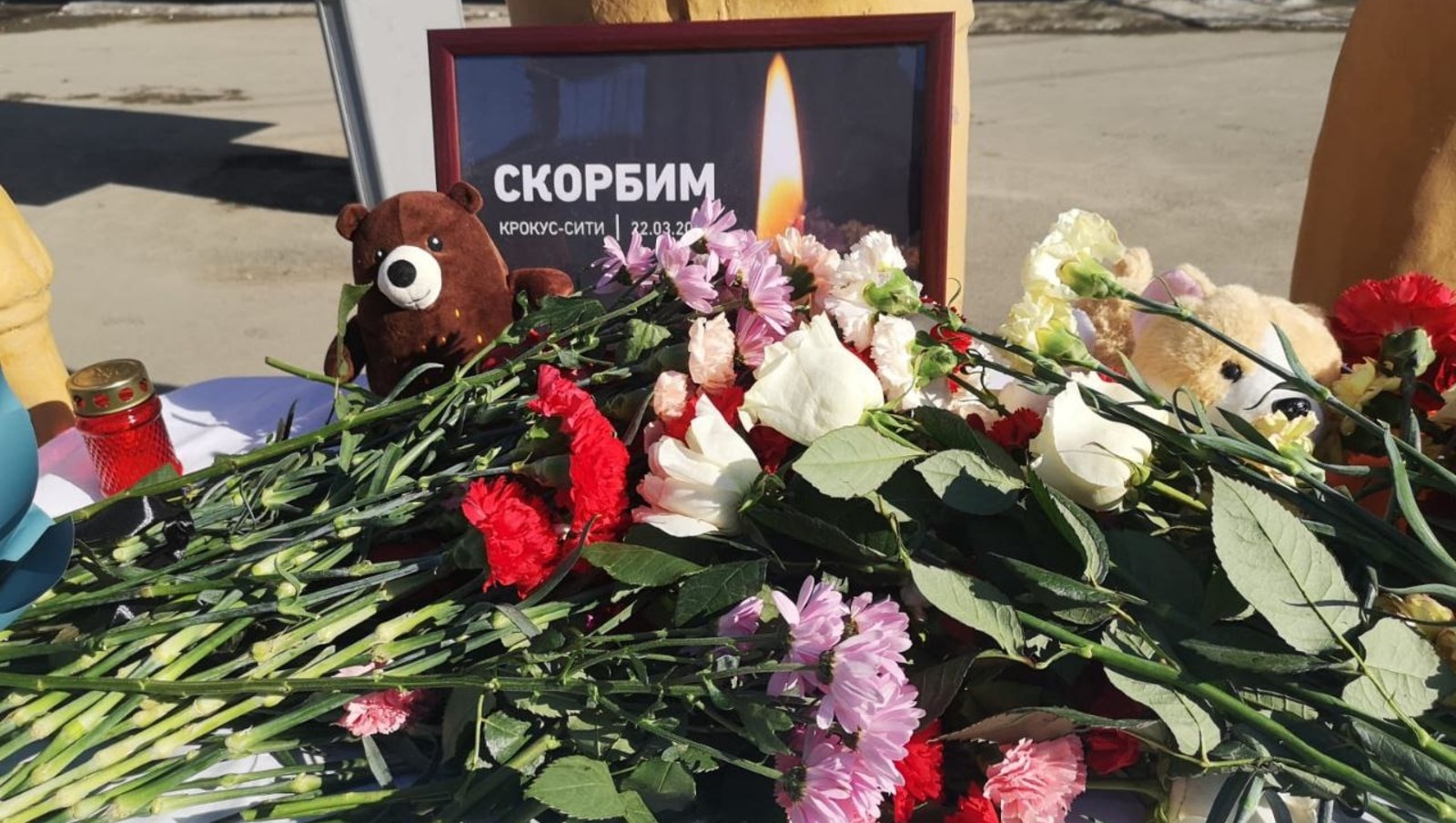 Радий Хабиров, телеграм