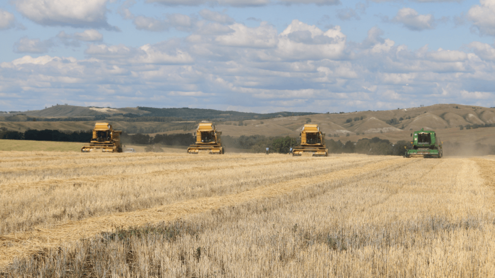 Минсельхоз РБ