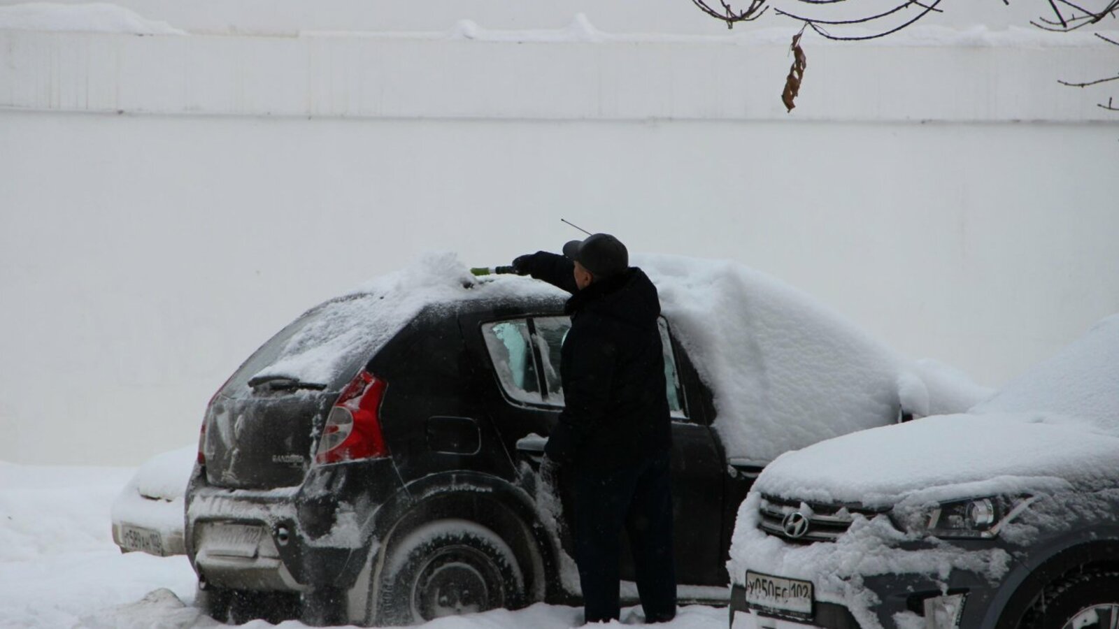 Ксения Калинина