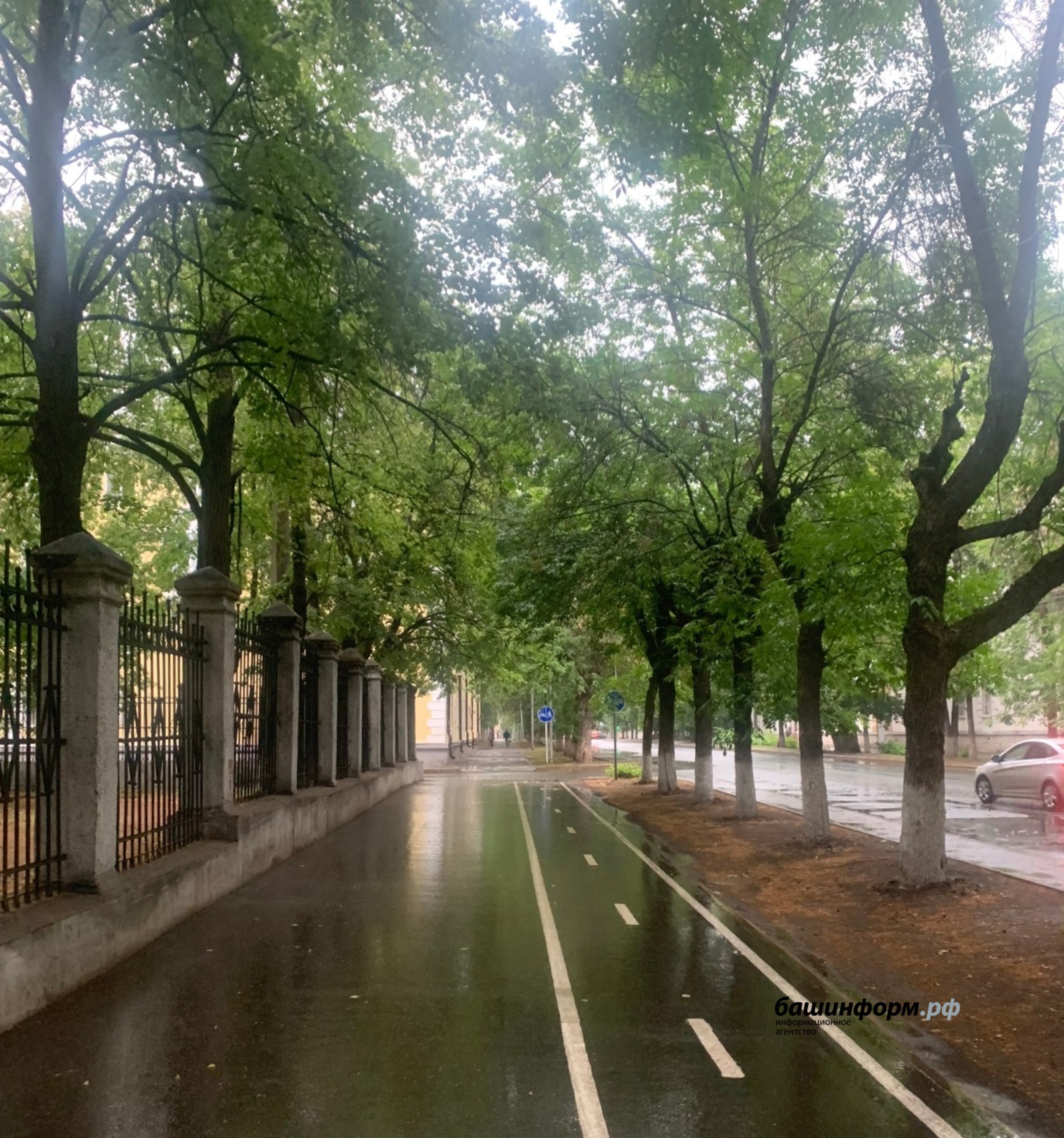 Галина Бахшиева, архивное фото