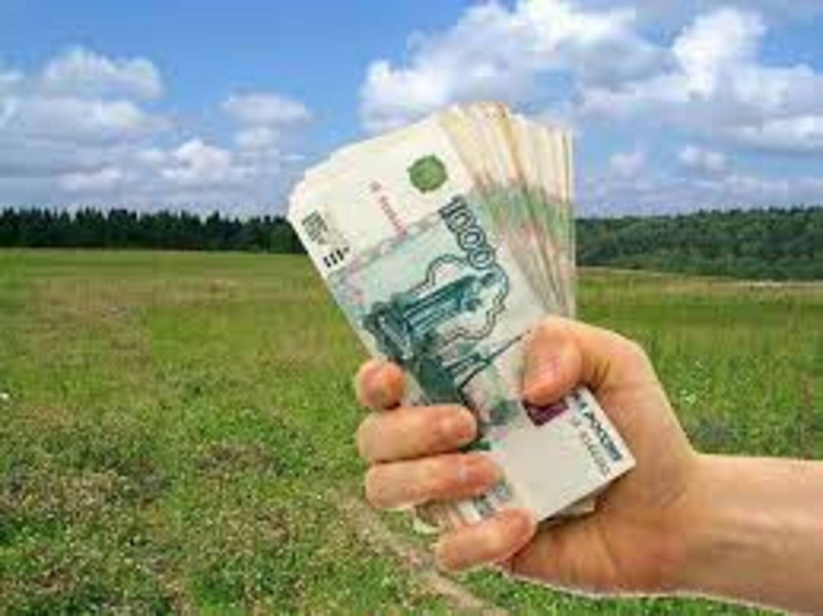В Башкирии пробуксовывают выплаты компенсаций многодетным семьям вместо земли