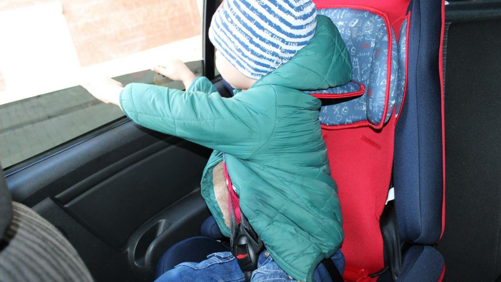 Карина Камаева