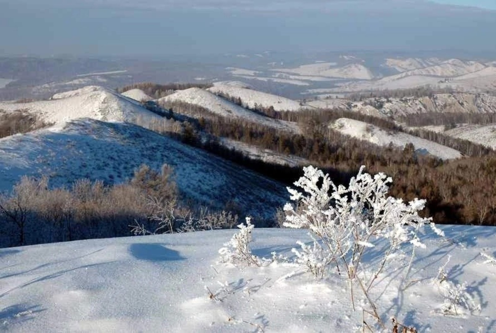 дирекция по ООПТ РБ