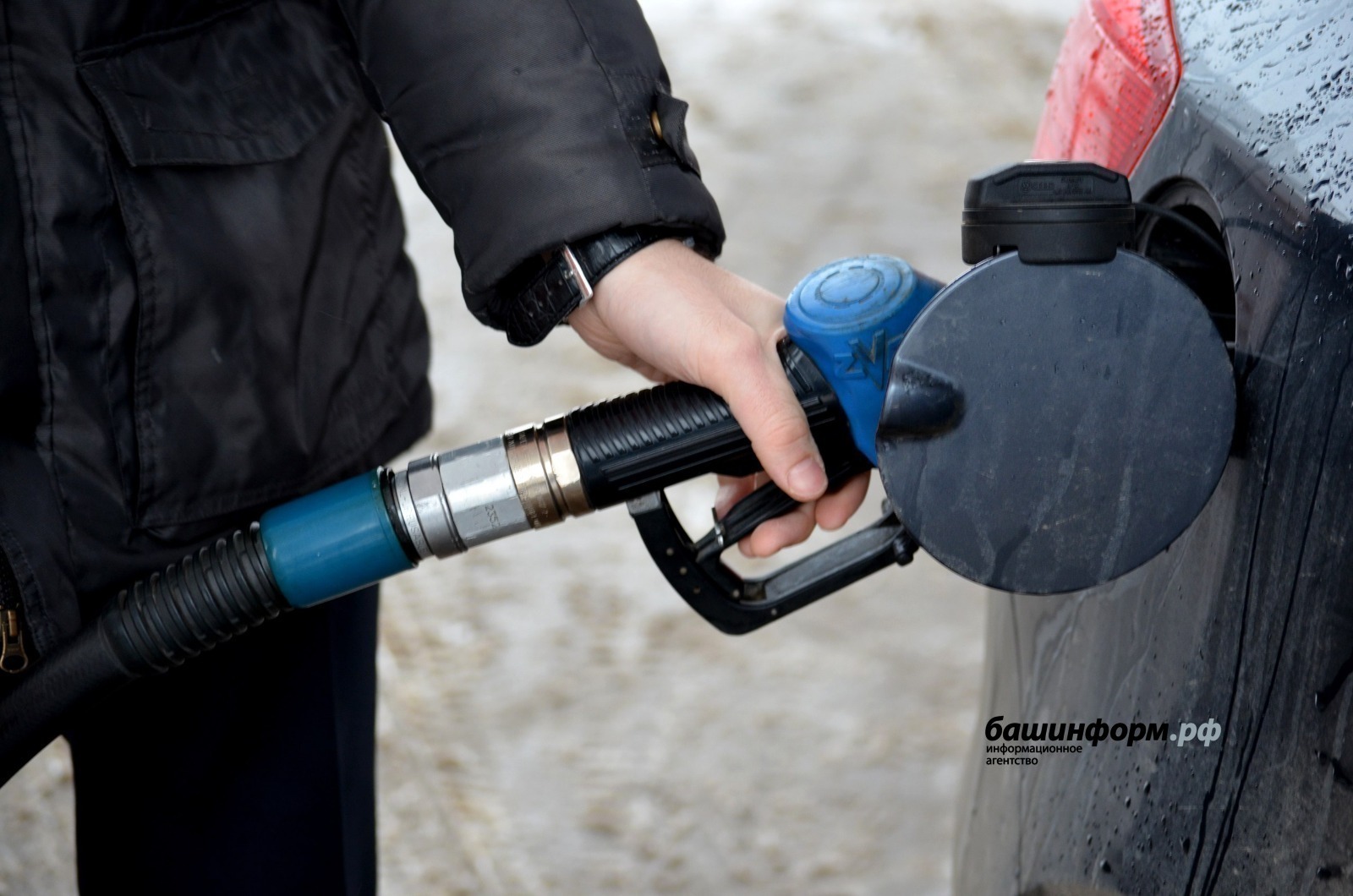 Ксения Калинина | «Башинформ» мәғлүмәт агентлығы