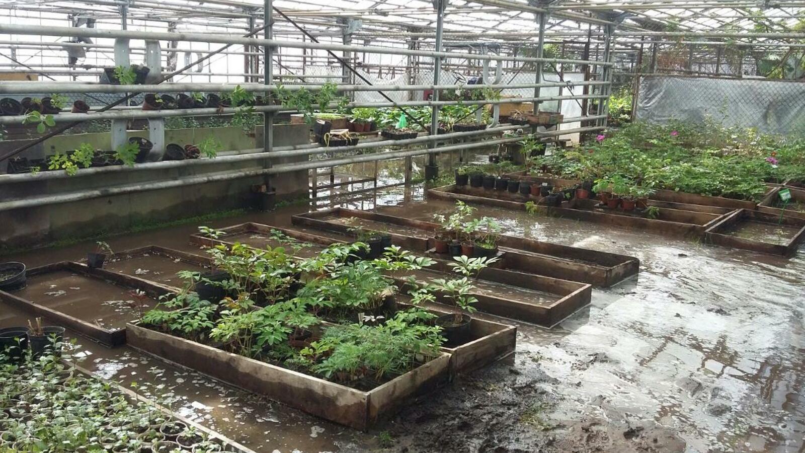 Южно-Уральский ботанический сад