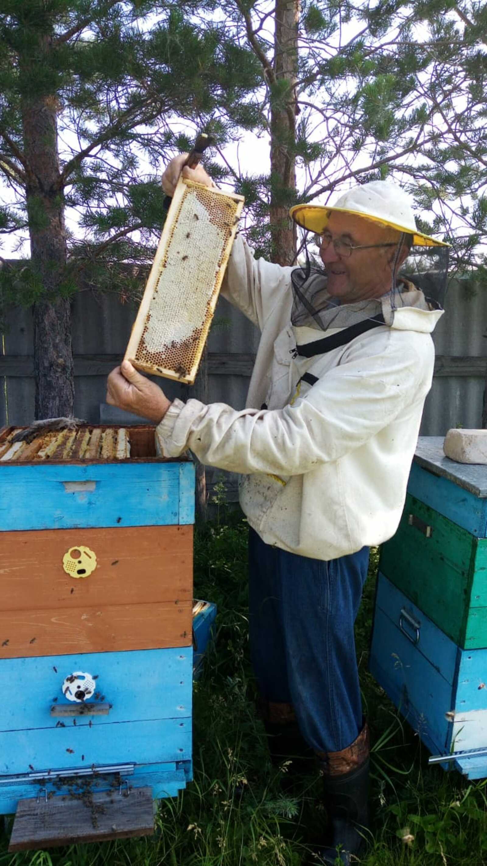 У степановского пчеловода мед на любой вкус