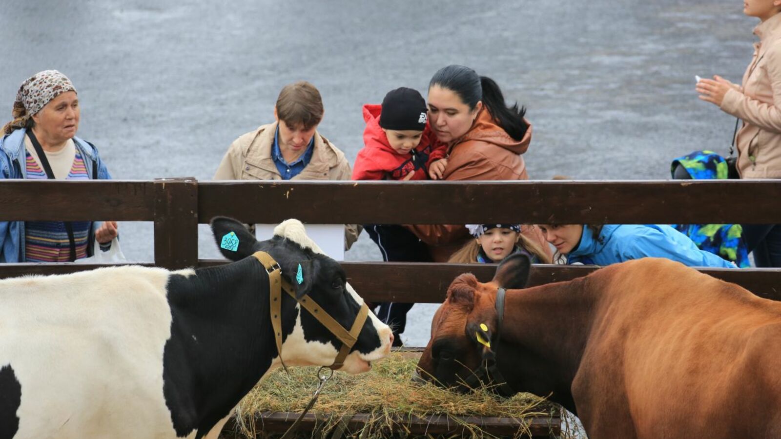 Андрей Старостин