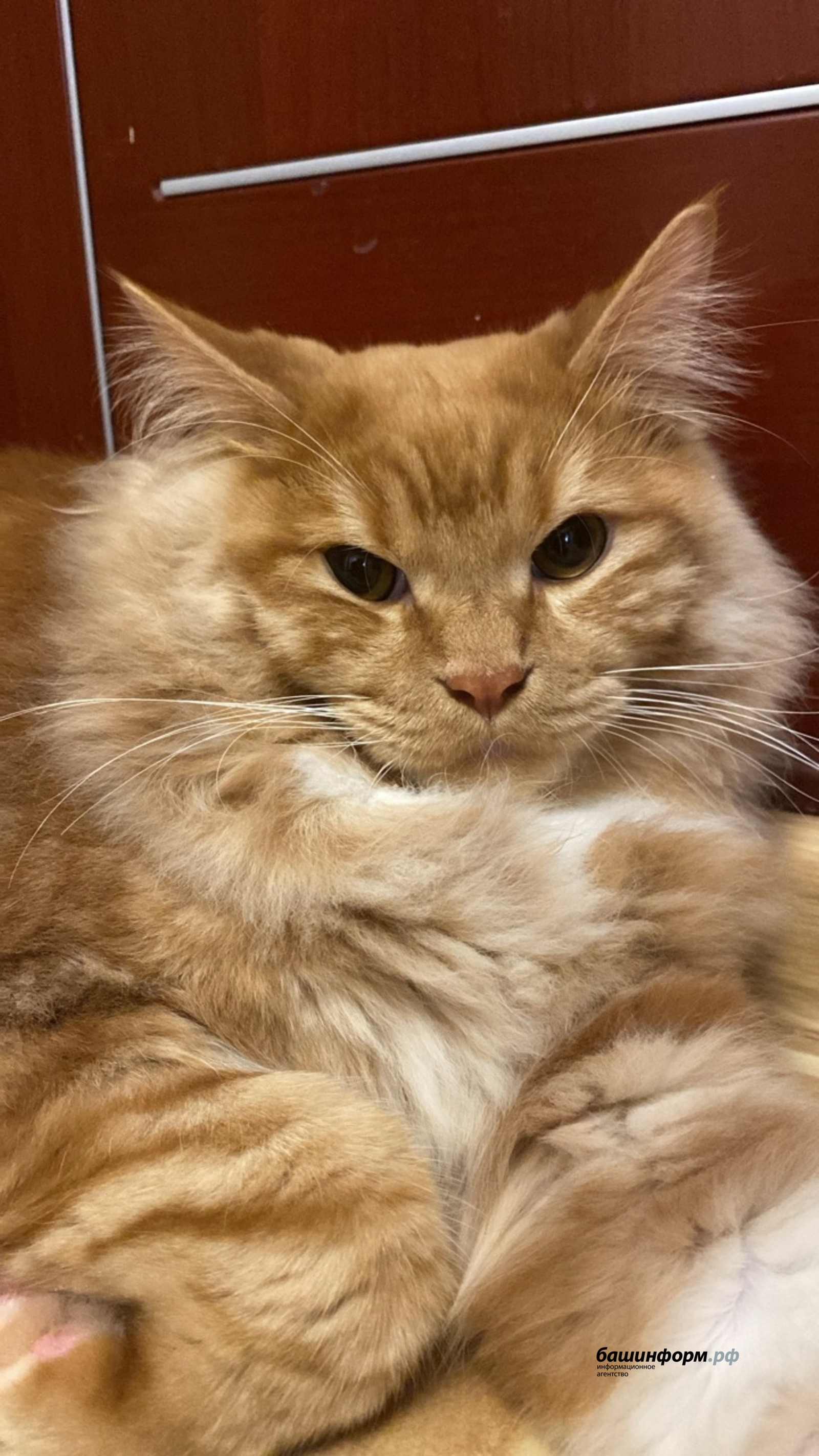 Наталья Овчарук  ИА «Башинформ»