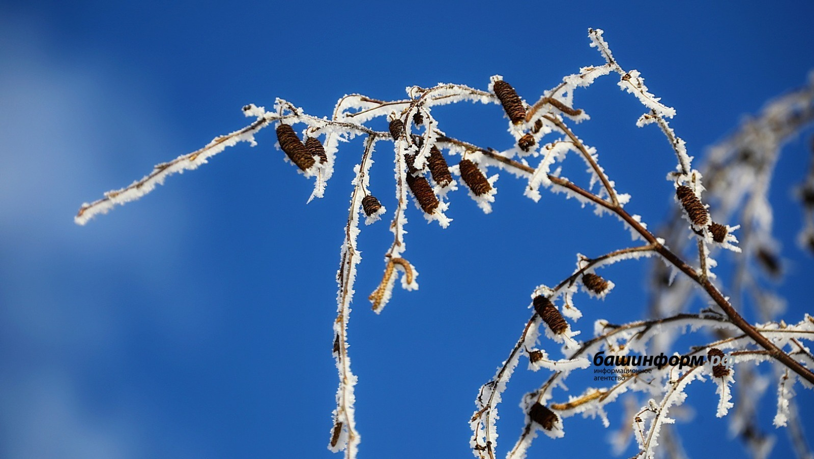 Валерий Шахов