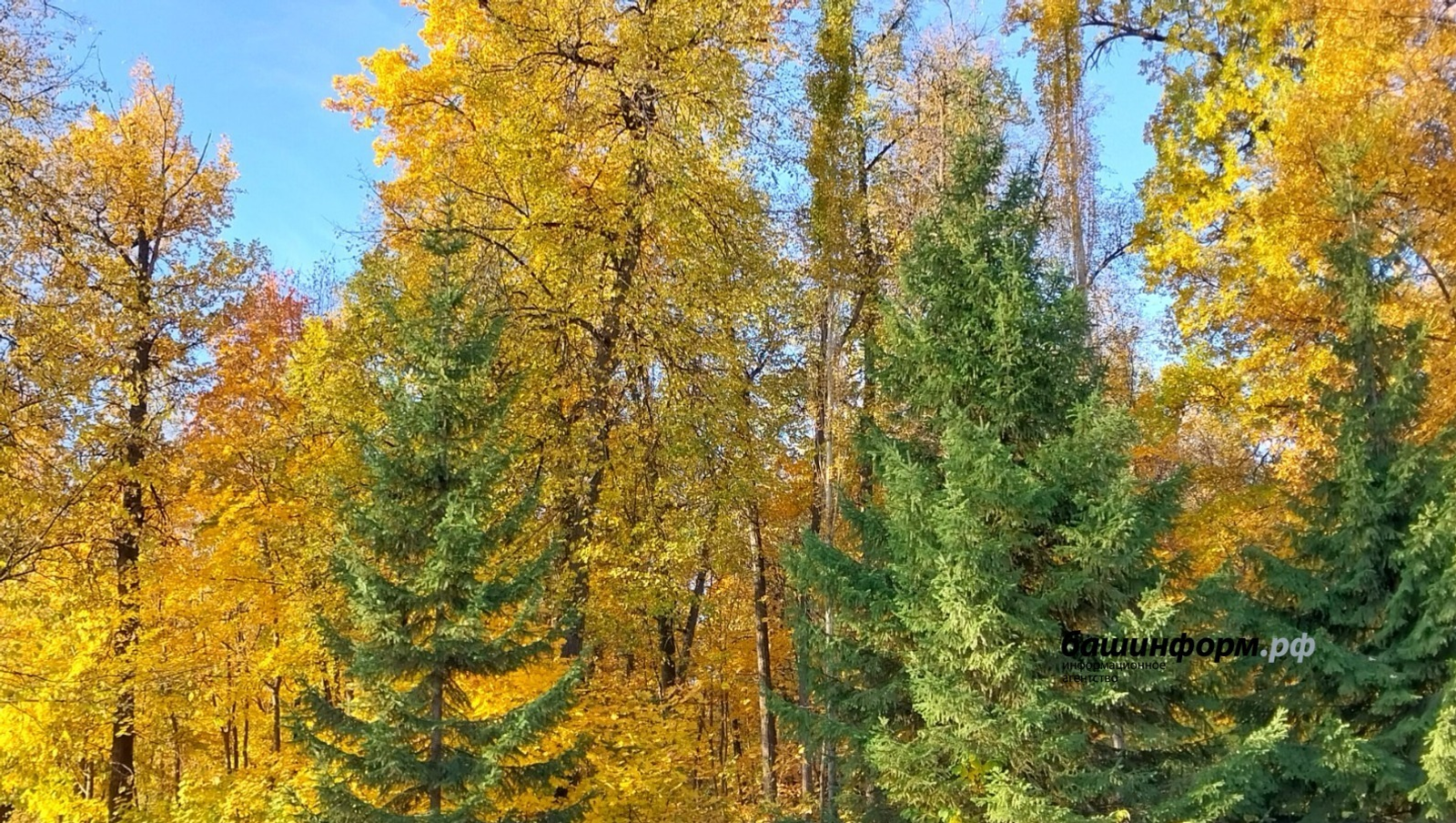 Ләйлә Аралбаева