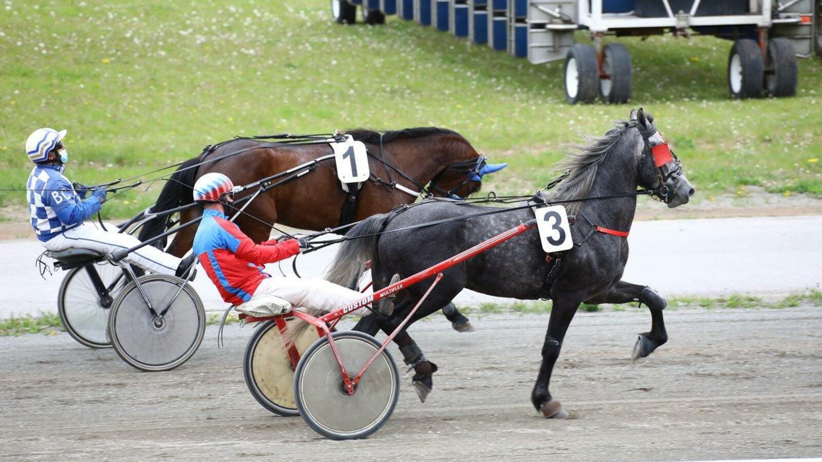 Валерий Шахов