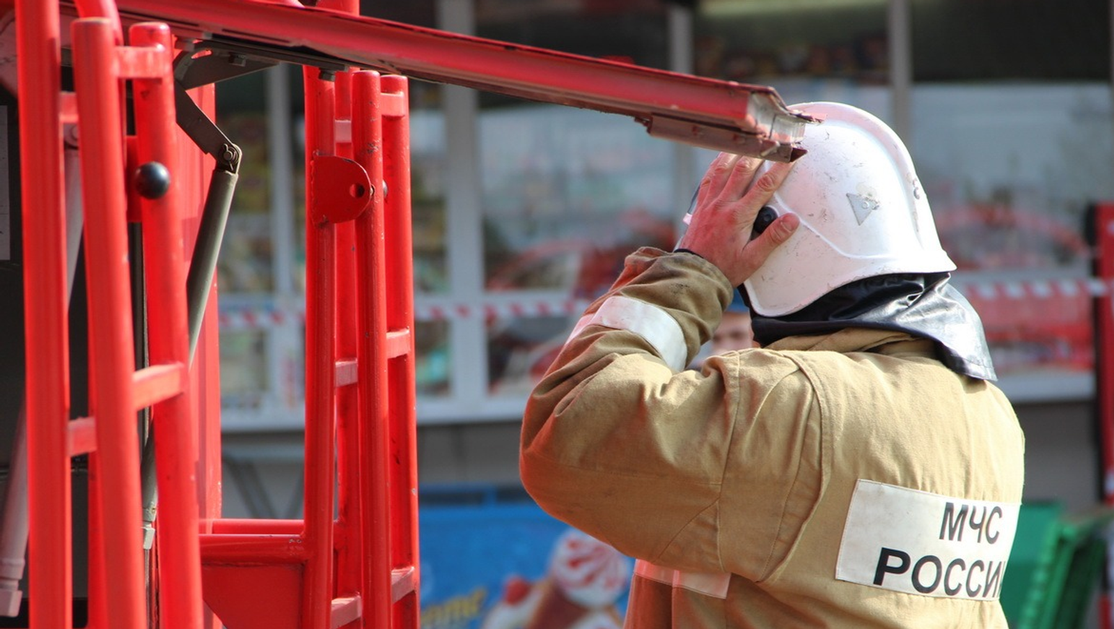 Ксения Калинина