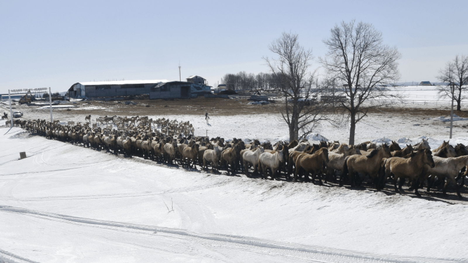 пресс - служба Минсельхоза Башкирии