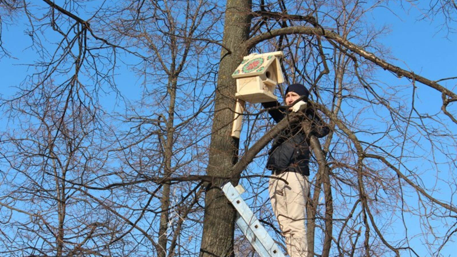 с сайта вуза