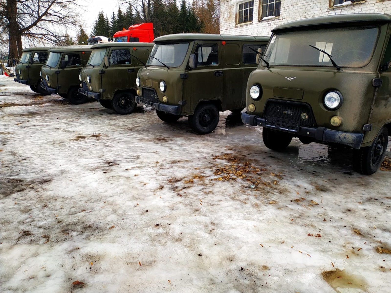 правительство РБ