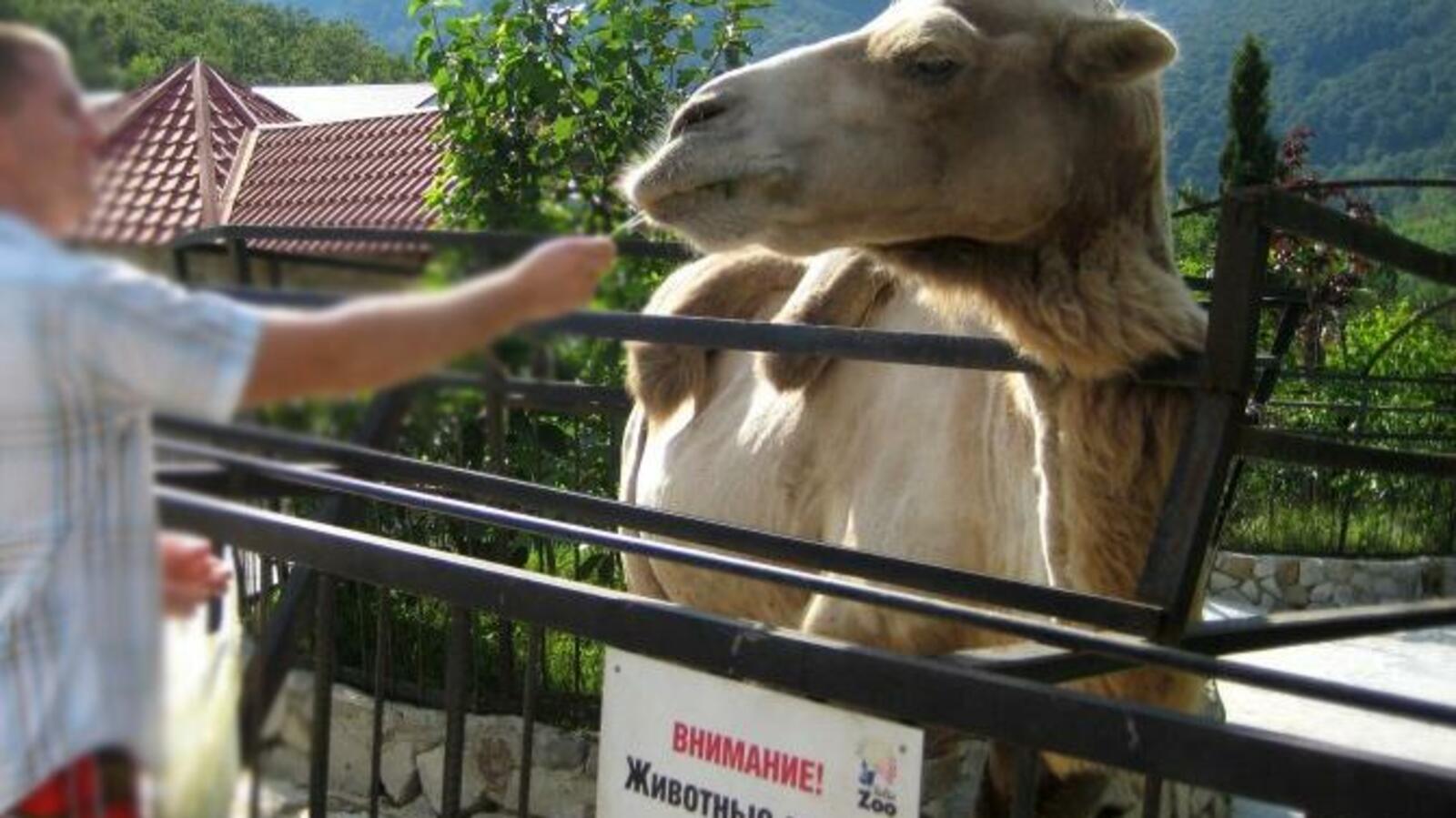 Ялтинский зоопарк