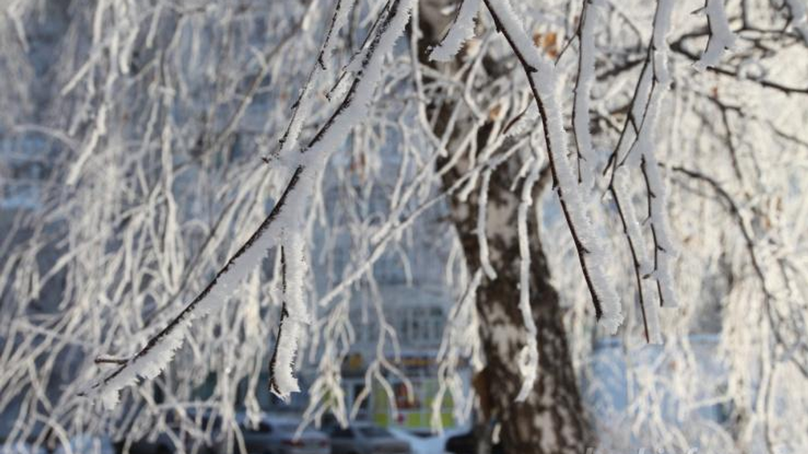 ИА «Башинформ»