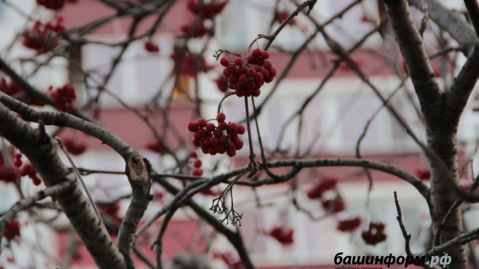 ИА «Башинформ»