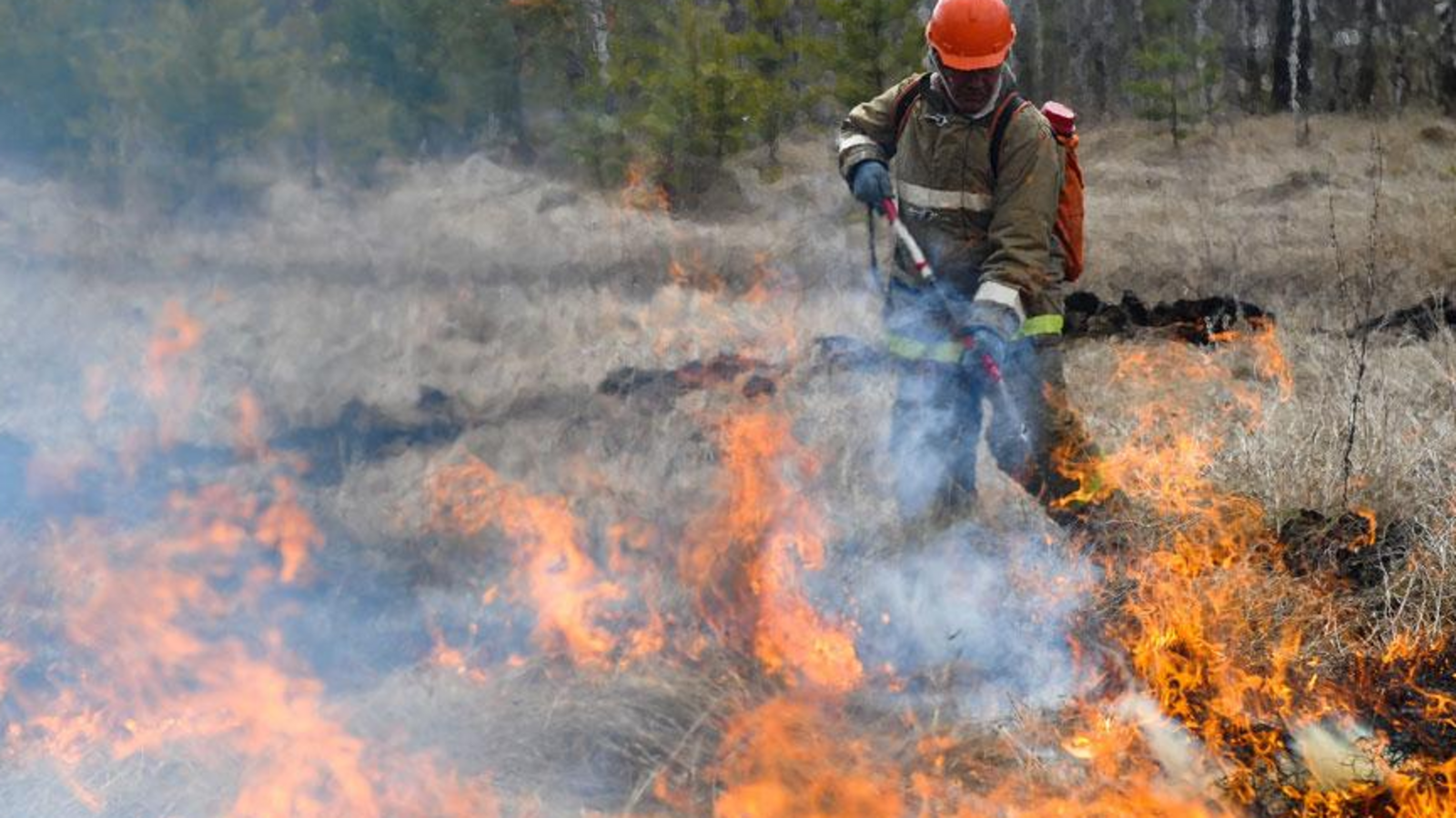 Минлесхоз РБ