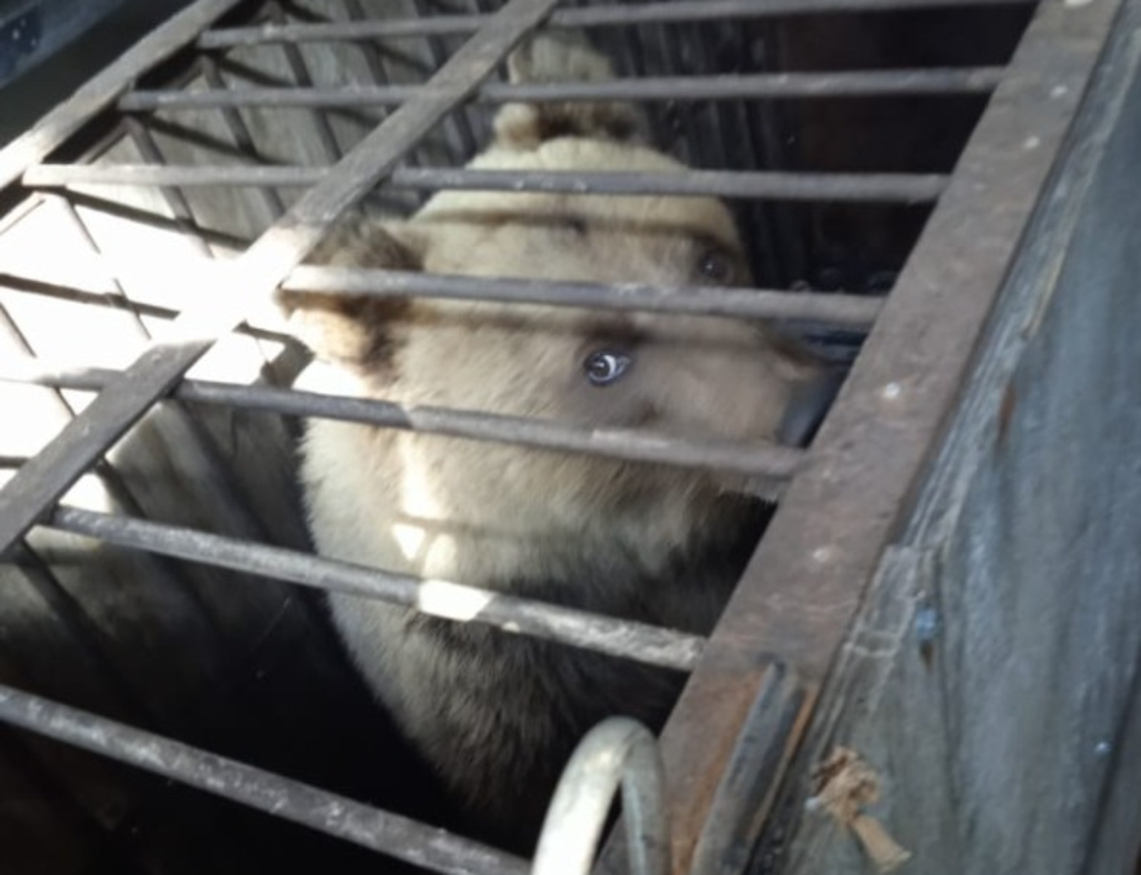 Минэкологии РБ