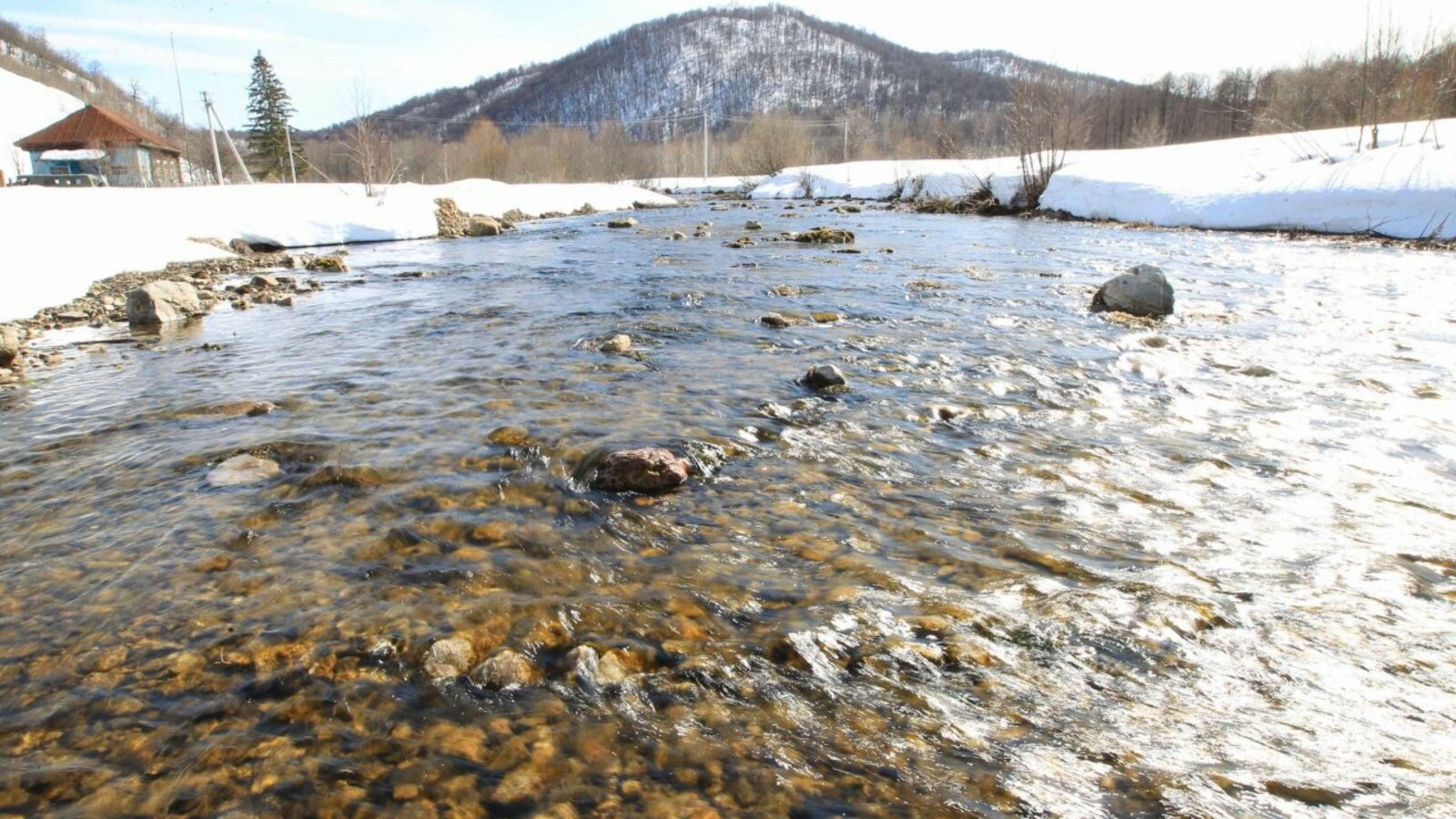 Олег Яровиков