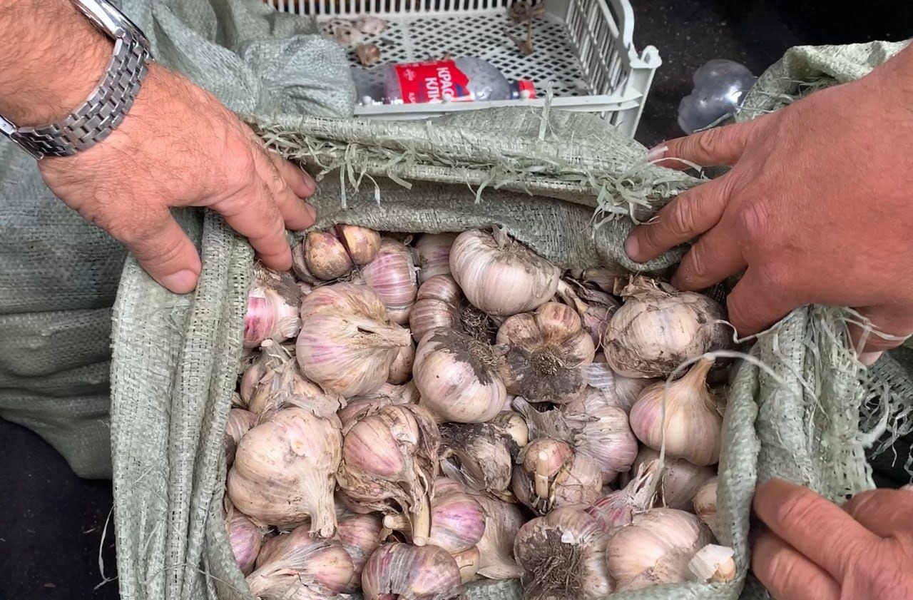 Народный фронт Башкортостана