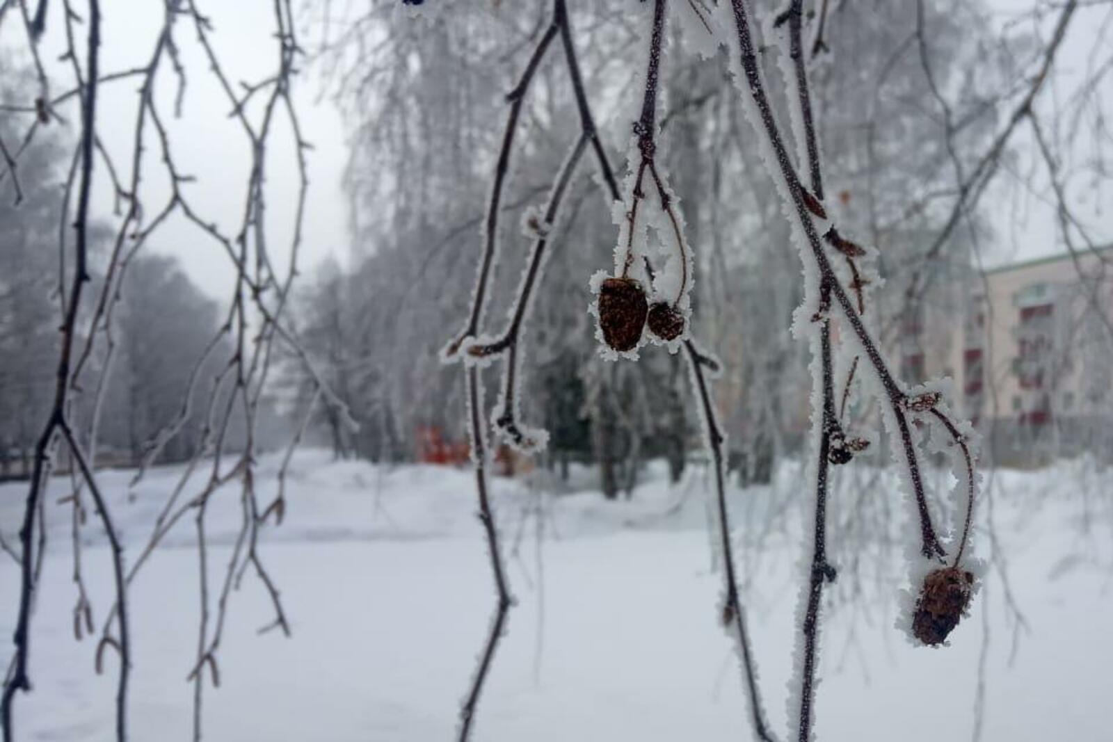Валерий Шахов