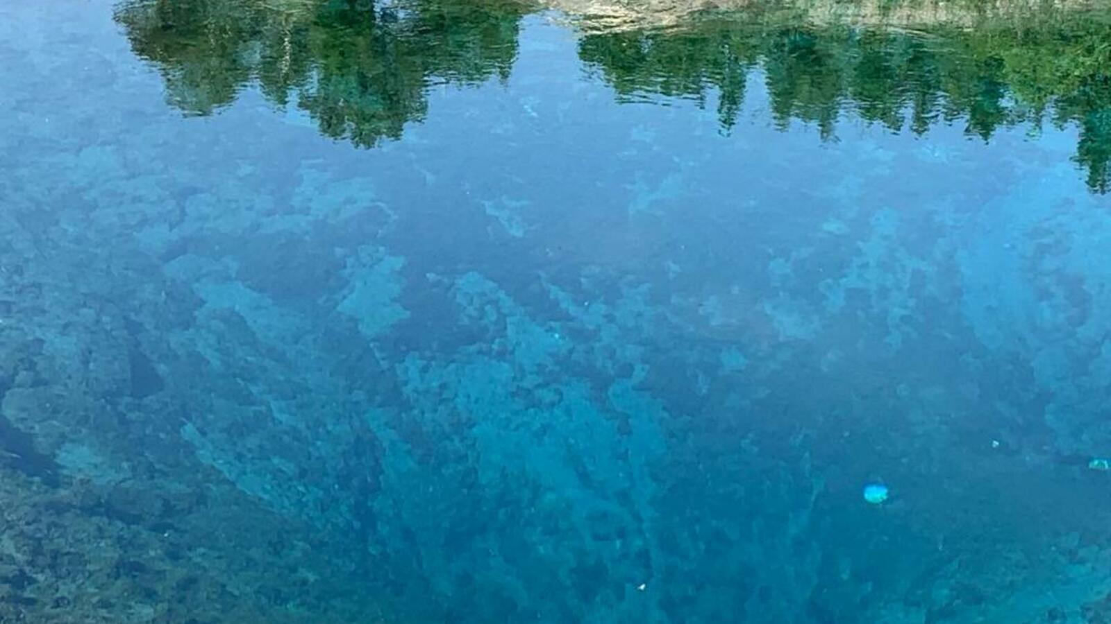 пресс-служба регионального отделения ОНФ