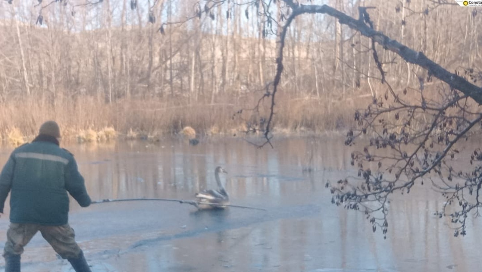 У. А. Галимуллина природный парк «Аслы-Куль»
