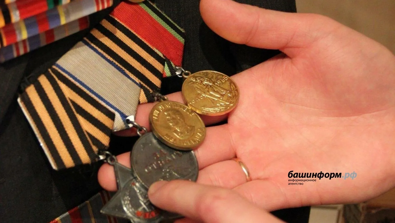 Ксения Калинина, архив