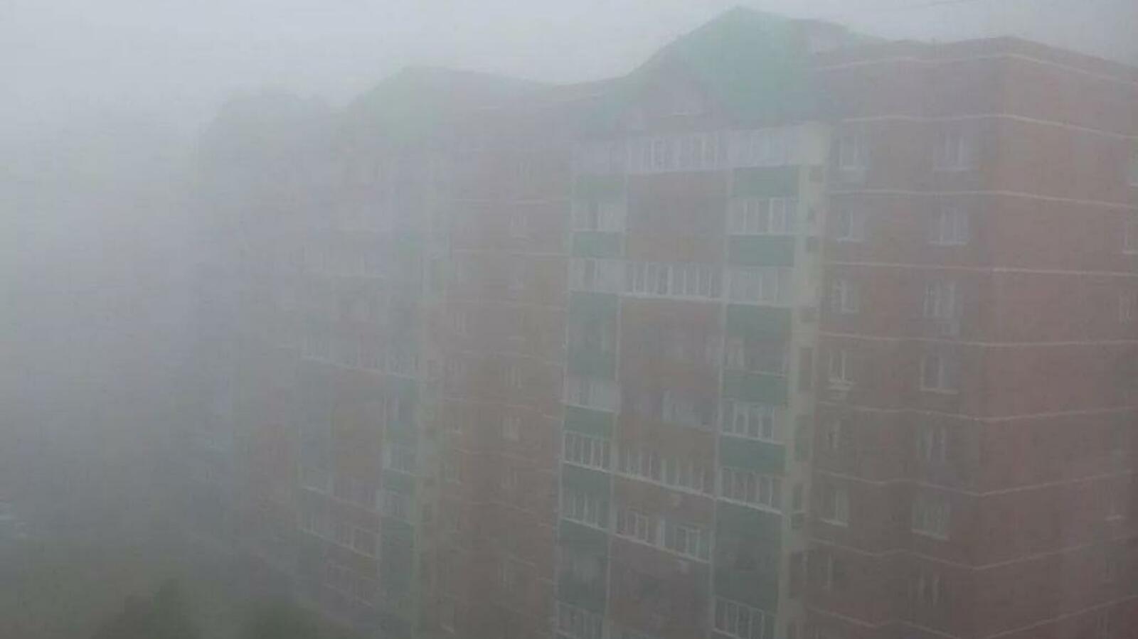 Ксения Калинина