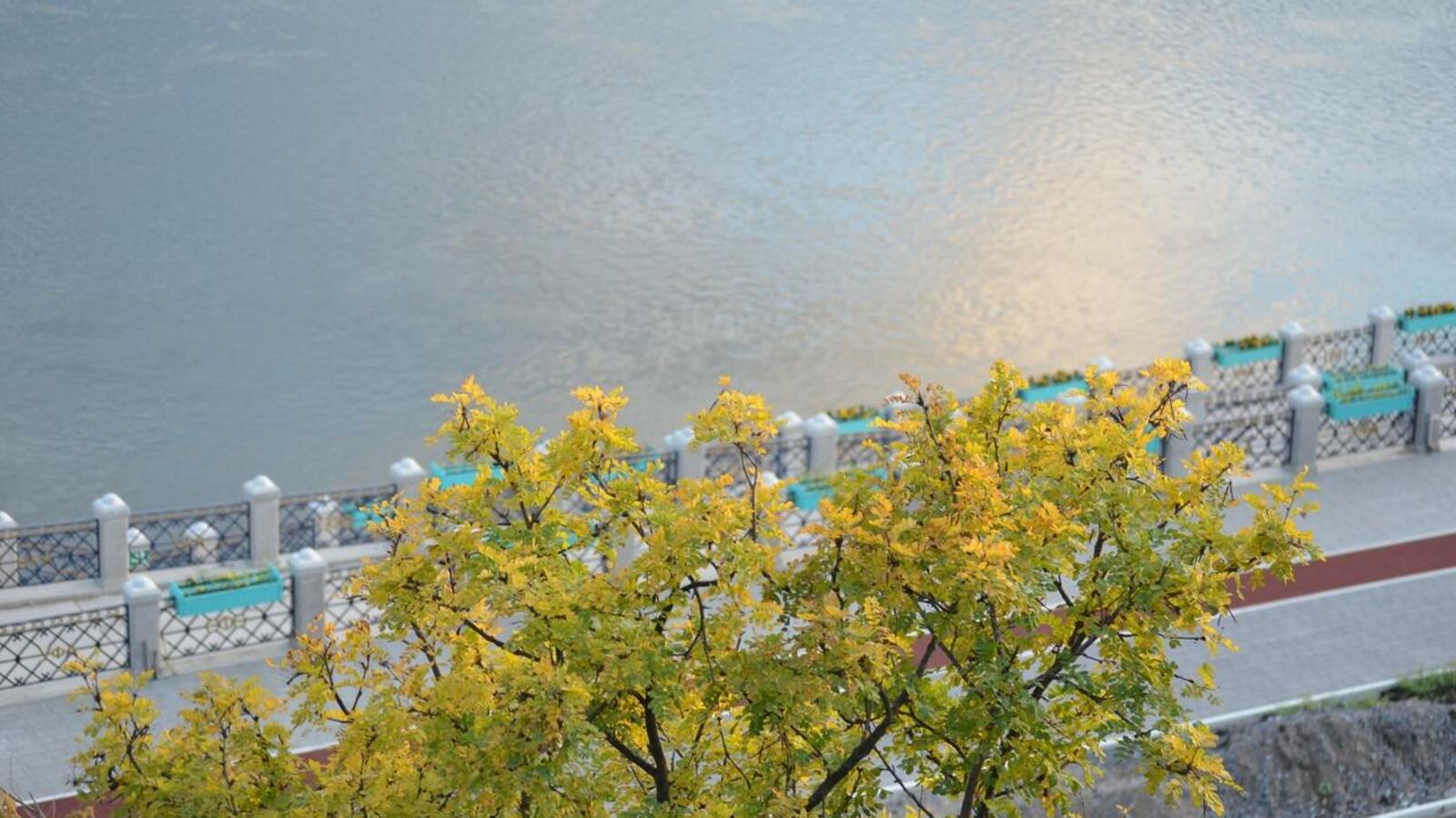 Ксения Калинина