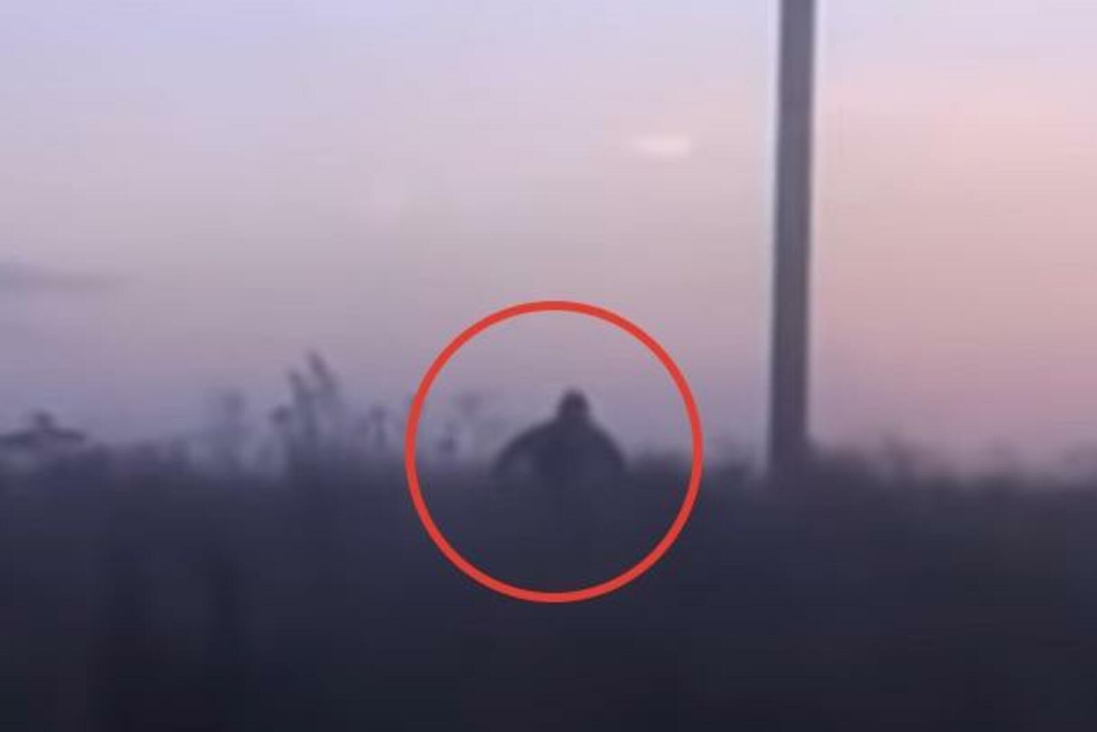 стоп-кадр видео