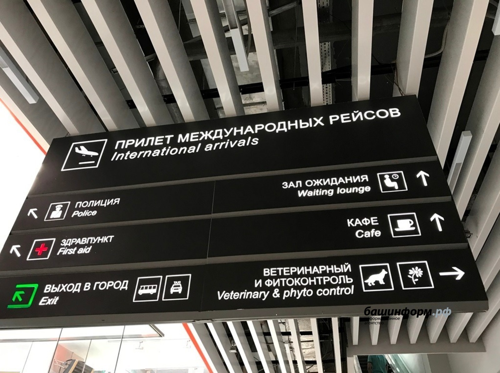 Ксения Калинина
