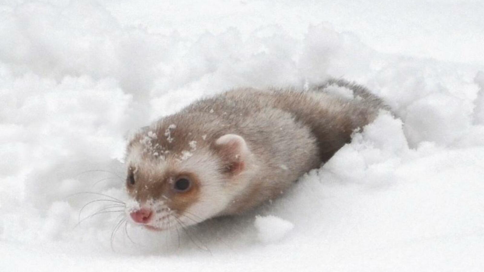 Ксения Калинина