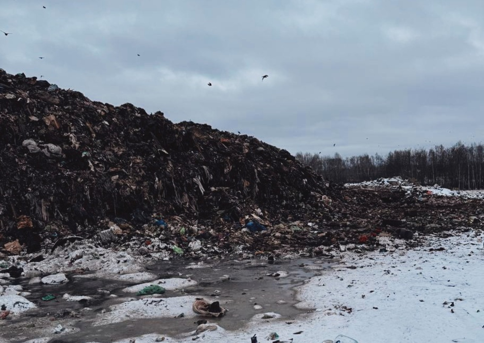 Росприроднадзор по Нижегородской области и Мордовии пресс-служба