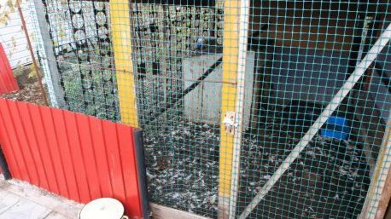 Сайт газеты "Октябрьский нефтяник"/ Виктор Лушкин