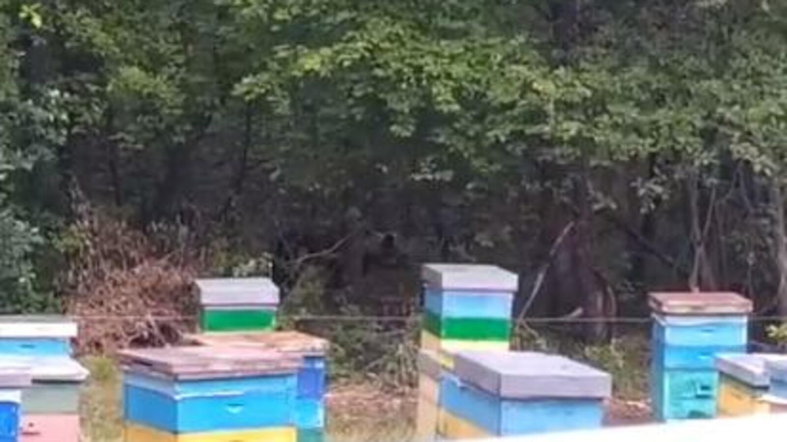 скриншот видео