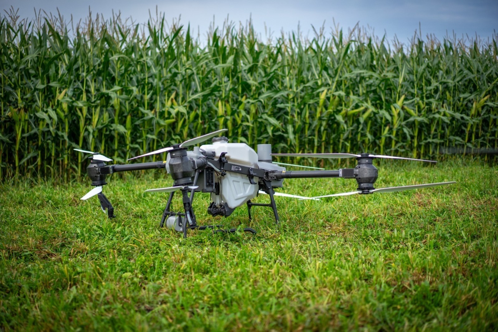 пресс-служба  минсельхоз Башкирии