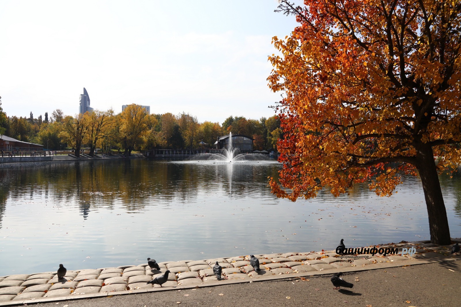 Валерий Шахов ИА «Башинформ»