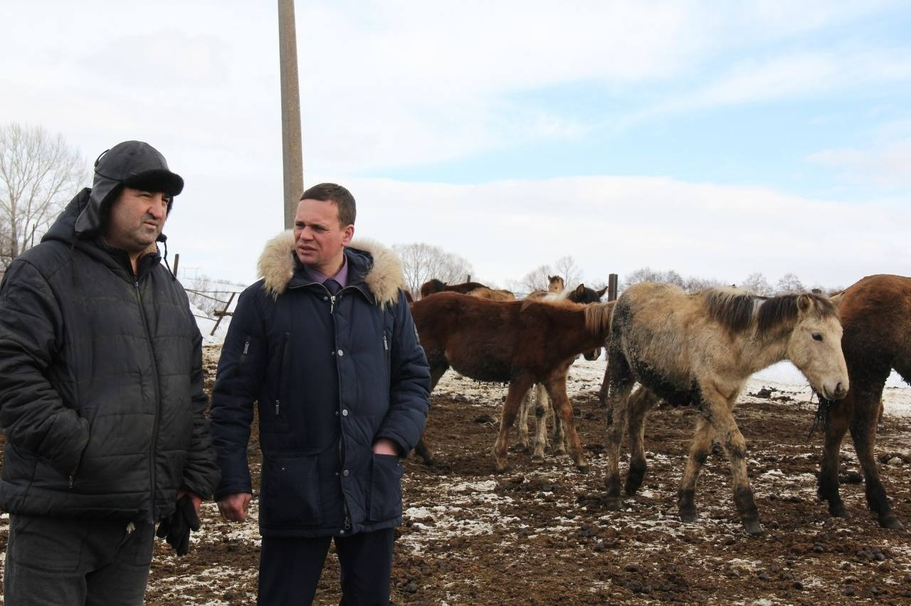 группа для общения Радия Хабирова с бизнесом