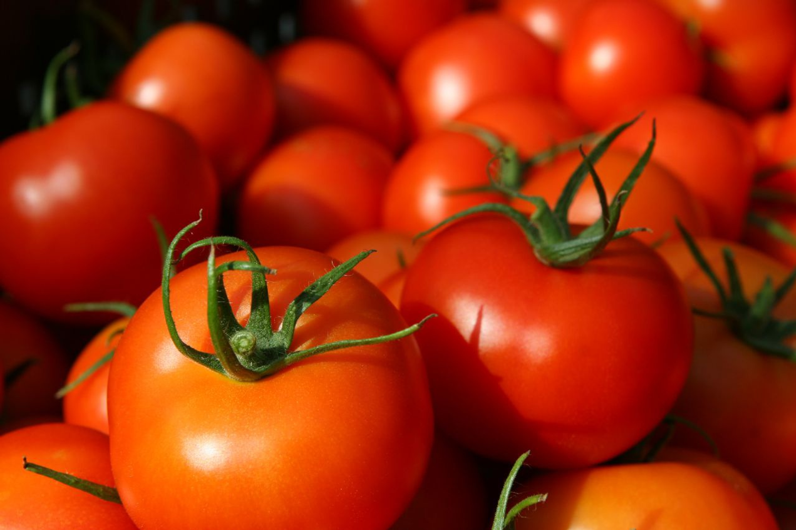 Андрей Старостин