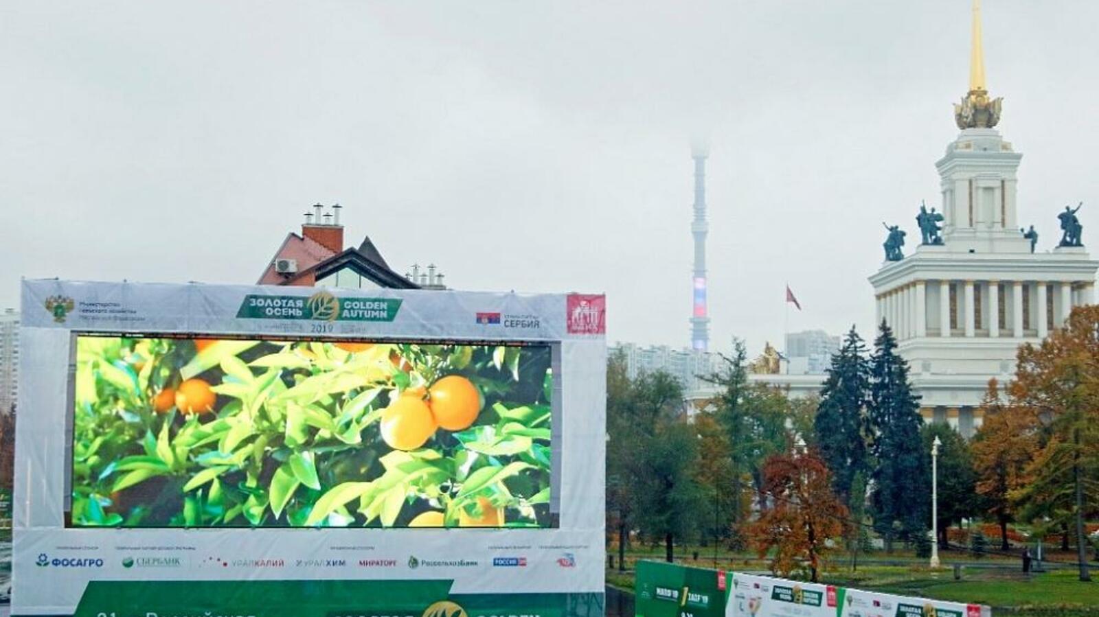 сайт главы РБ