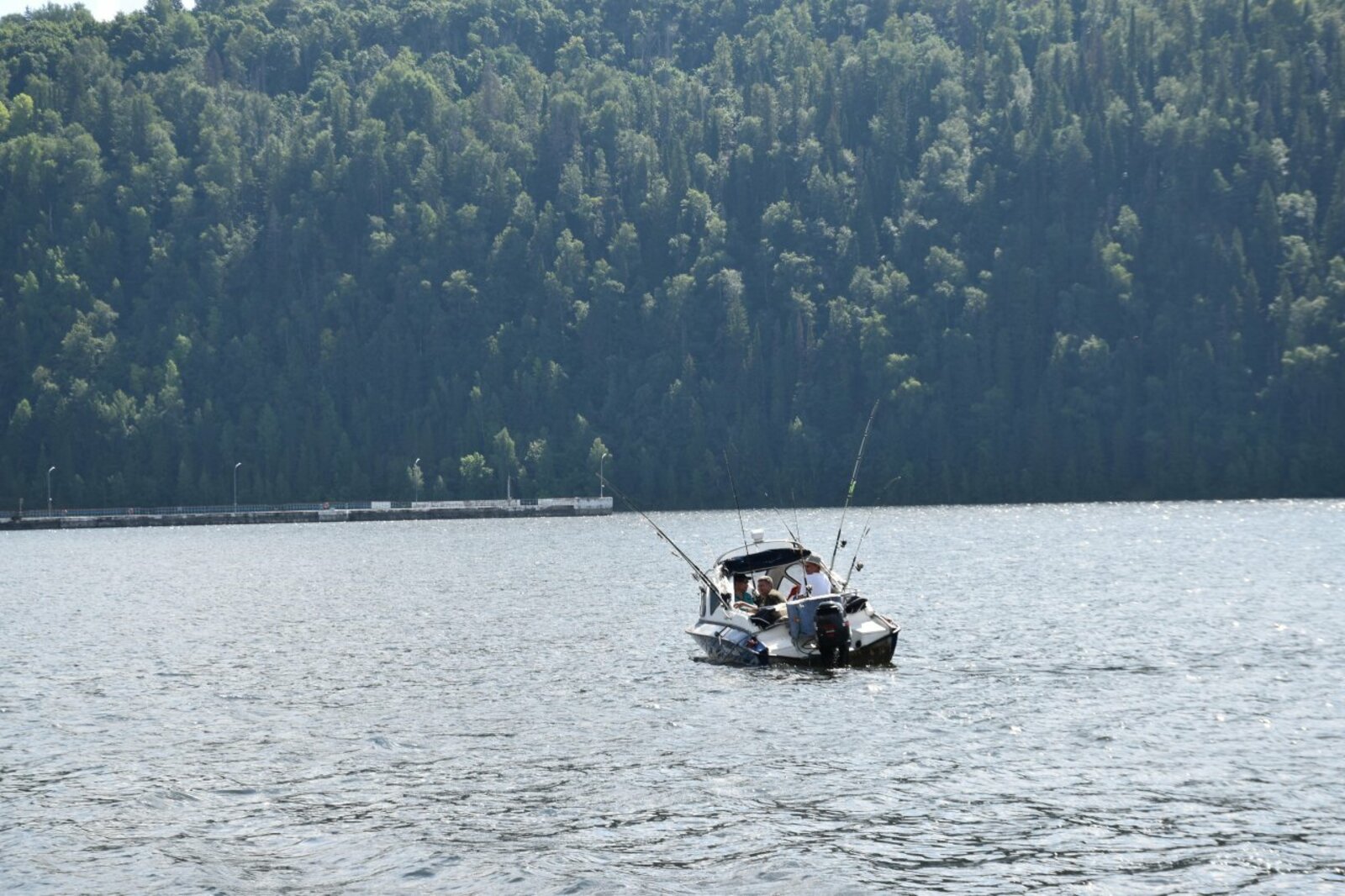 автор
