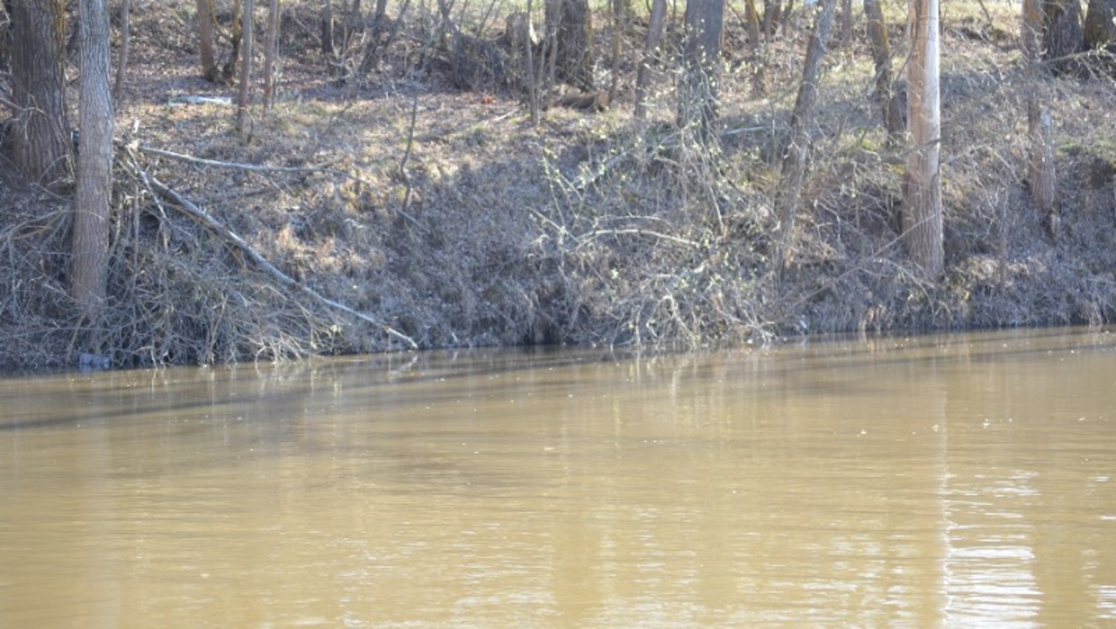 Ксения Калинина